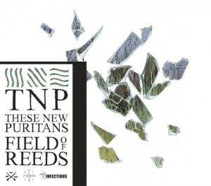 these-new-puritans-field-of-reeds1-608x539