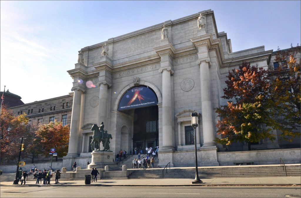 Credit: AMNH/R. Mickens